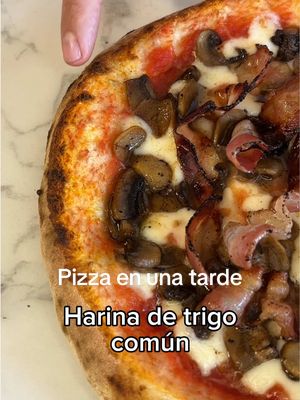 Massa de pizza caseira com farinha comum